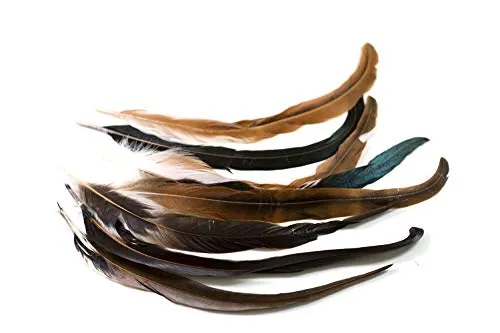 Creativery Hahnenfedern 30-35cm 10 Stück braun natur