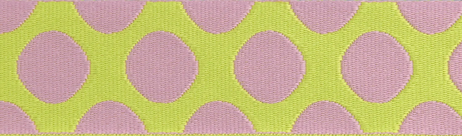 Renaissance Ribbon Down to Earth Dot Webbing Gurtband Tula Pink