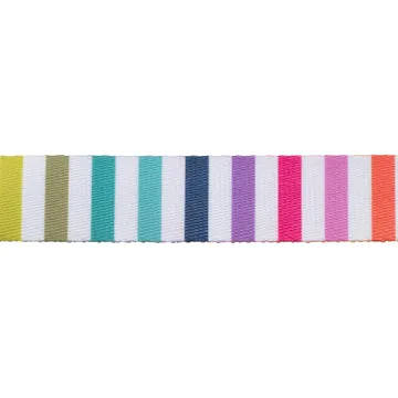 Renaissance Ribbon Tabby Road Disco Stripe Gurtband