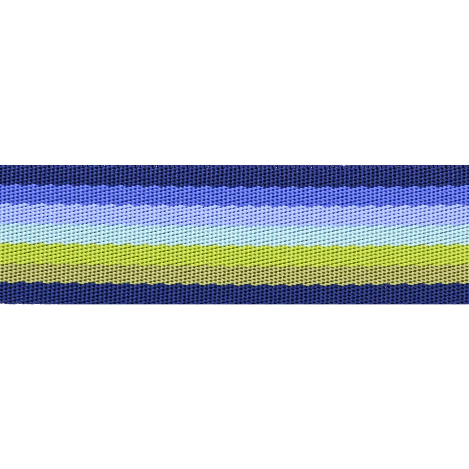 Renaissance Ribbon Floral Reef Smooth Sailing Gurtband Polyester