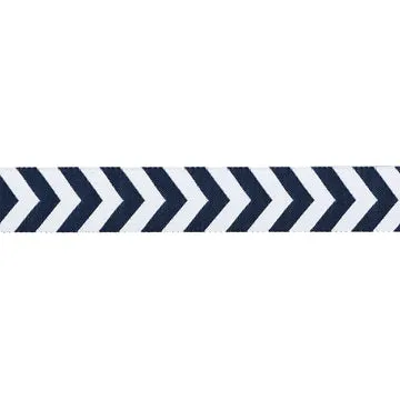 Renaissance Ribbon High Flight Taxiway Webband 1 Yard