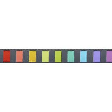 Renaissance Ribbon Graywork Disco Stripe Webband 1 Yard 16mm
