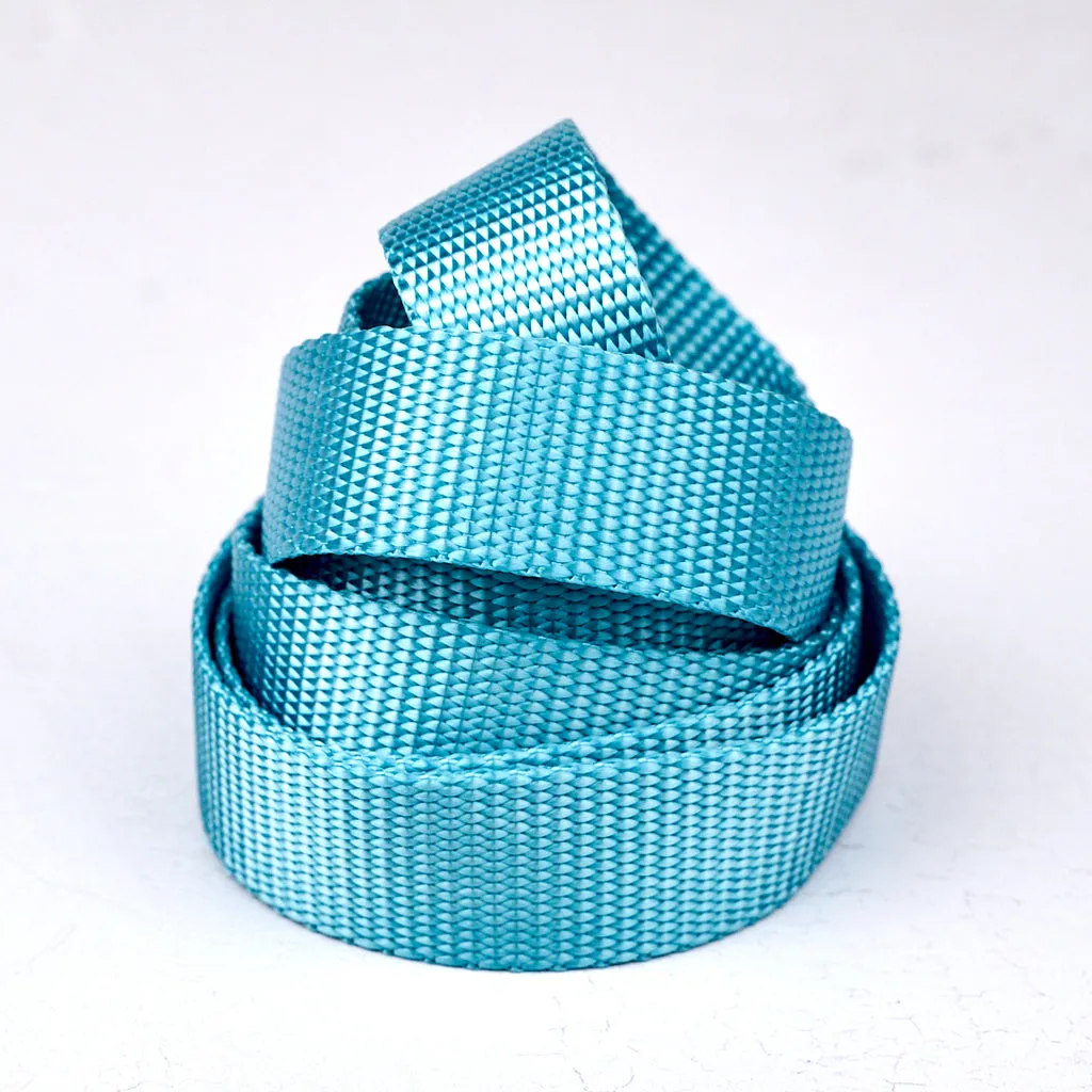 Renaissance Ribbon Heavyweight Webbing Gurtband 2,5cm 1 Yard reissfest