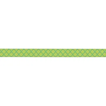 Renaissance Ribbon True Colors 2025 On the Grid Webband Polyester