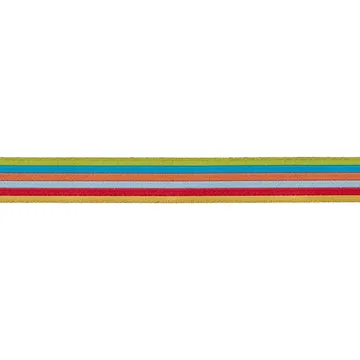 Renaissance Ribbon Back to School Rainbow Power Band 5/8 Zoll Schulmotive