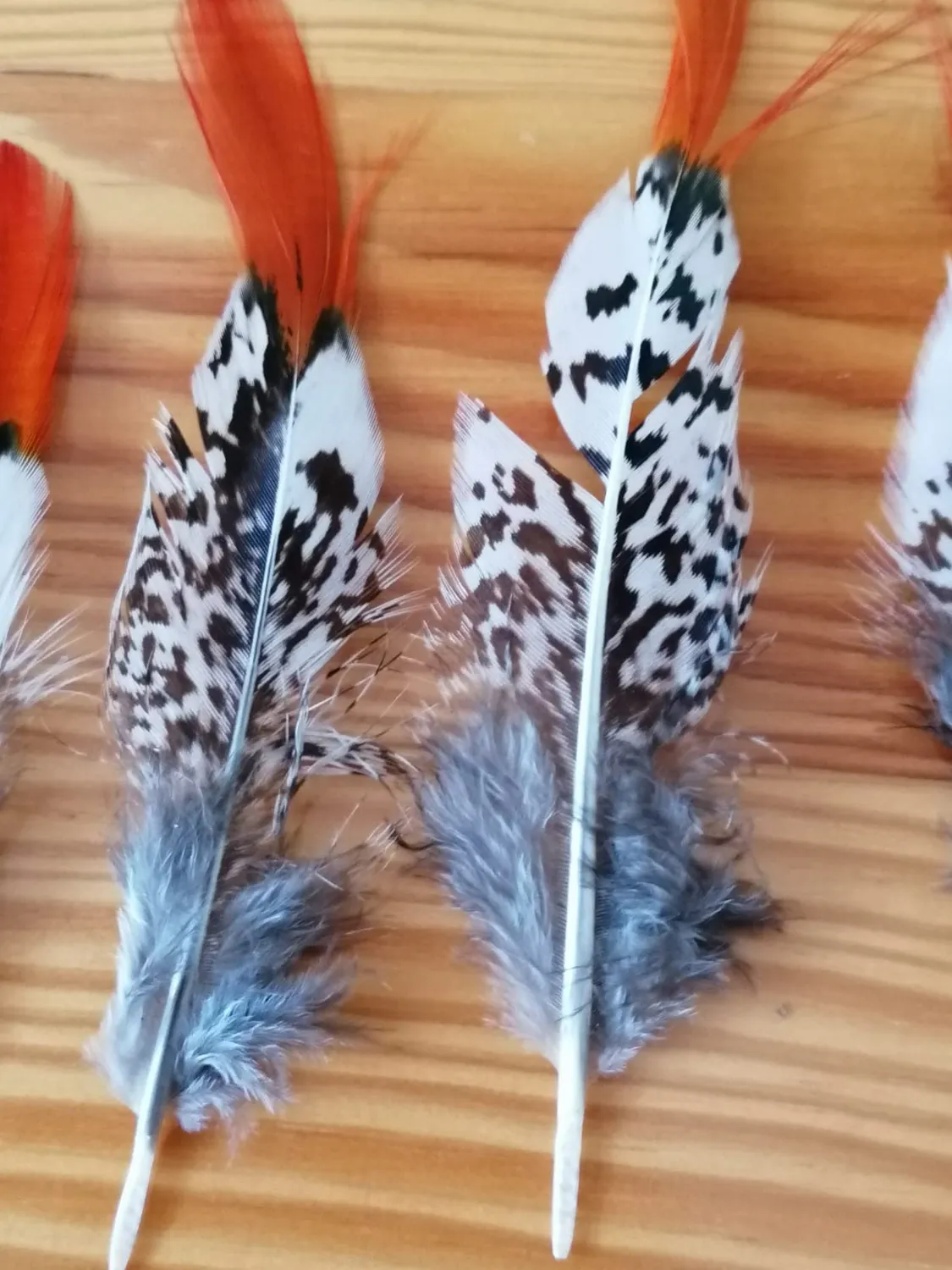 Creativery Fasan Schwanzfedern 10-15cm Dekofedern 5 Stück natur