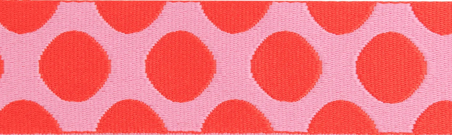Renaissance Ribbon Down to Earth Dot Webbing Gurtband Tula Pink