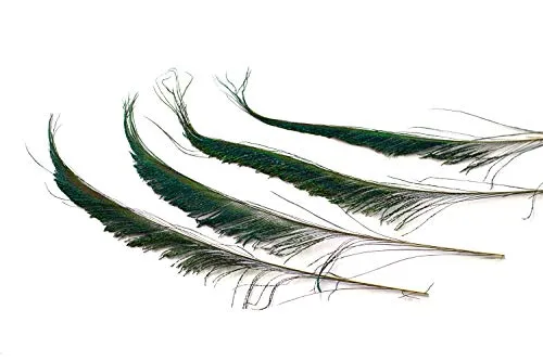 Creativery Pfauenfedern Natur Schwert 25-30cm 10 Stück Deko