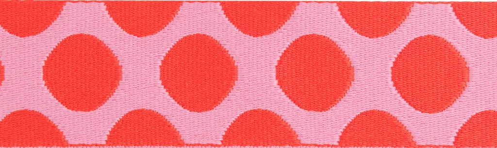 Renaissance Ribbon Down to Earth Dot Webbing Gurtband Tula Pink