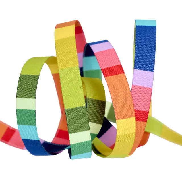 Renaissance Ribbon Paper Hamlet Band of Color Mini Webband 10mm 1 Yard