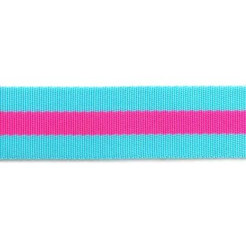 Renaissance Ribbon Tula Pink Gurtband Nylon 1 Yard gestreift