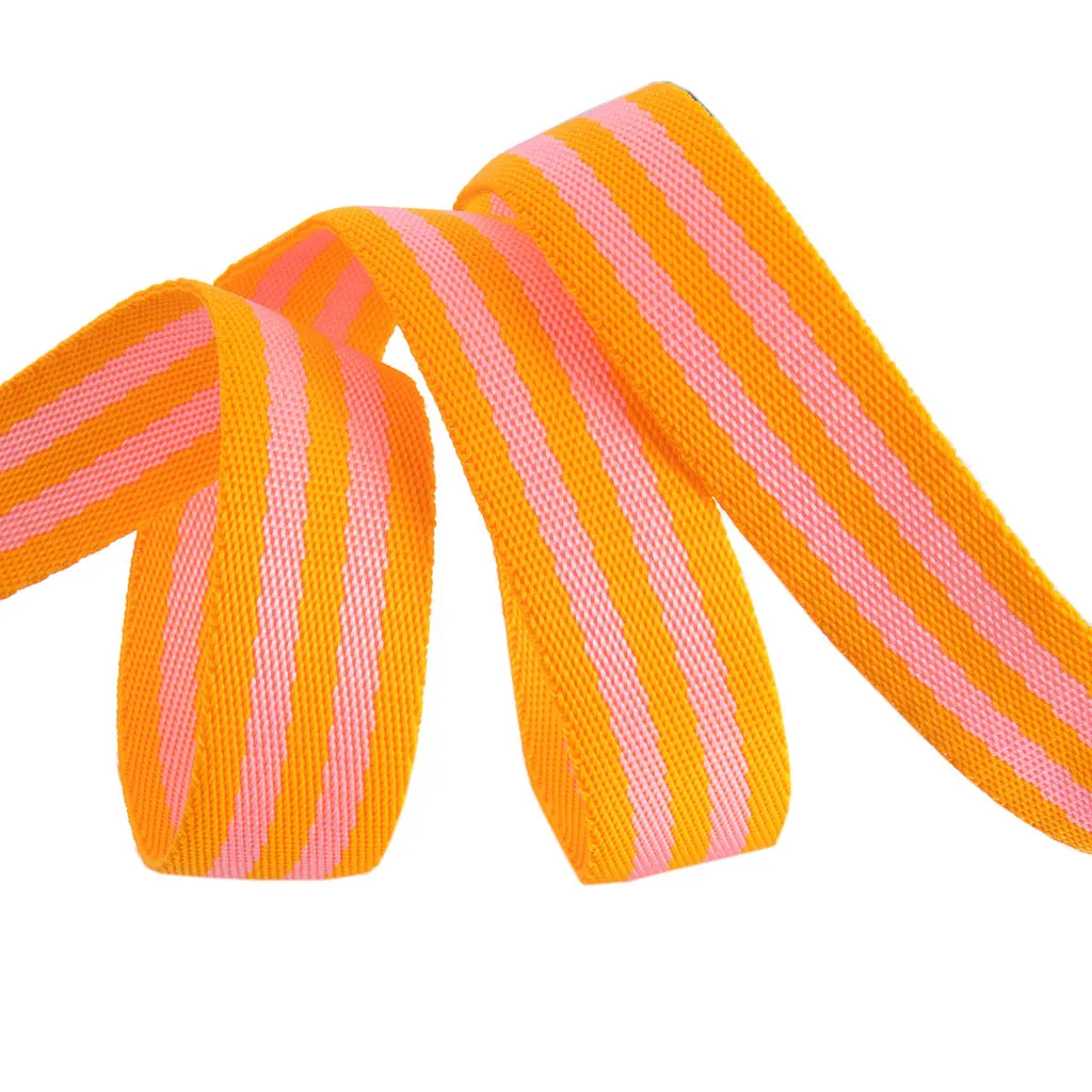Renaissance Ribbon Tula Pink Gurtband Nylon 25mm 1 Yard