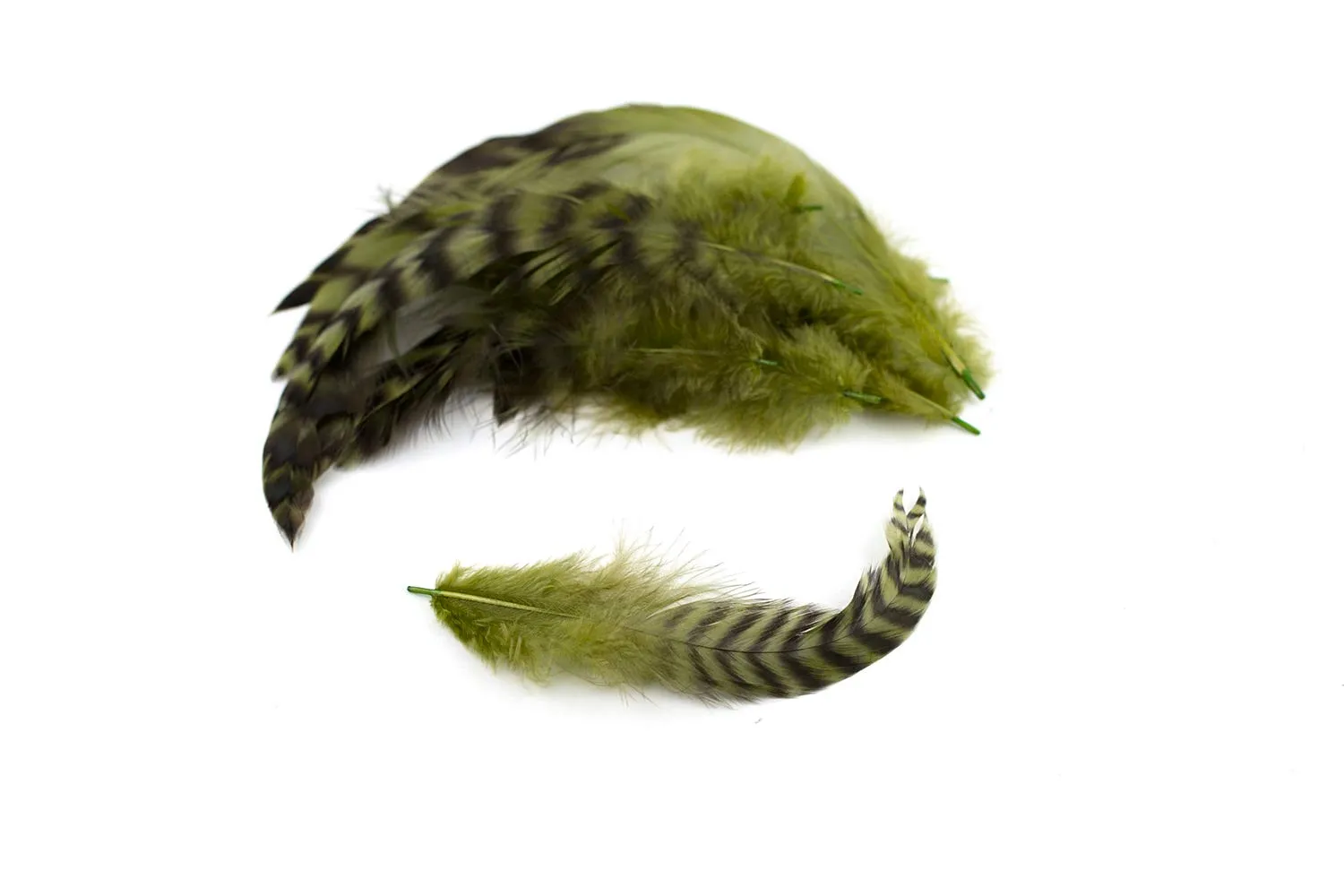 Creativery Hahnenfedern Chinchilla Schmuckfedern