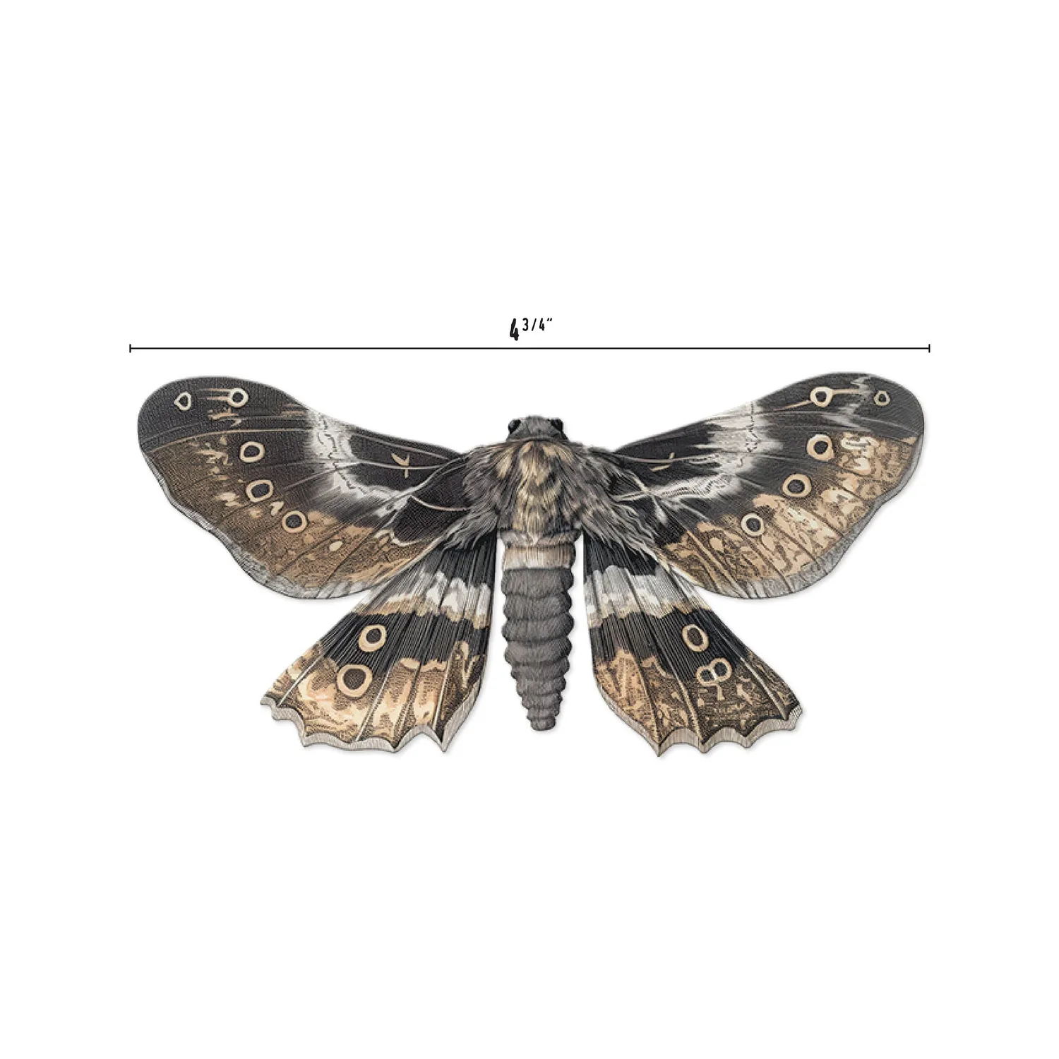 Idea-ology Tim Holtz Transparenzen Moths
