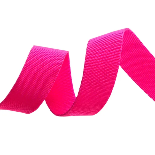 Renaissance Ribbon Tula Pink Cosmic Nylon-Gurtband 1 Zoll 1 Yard