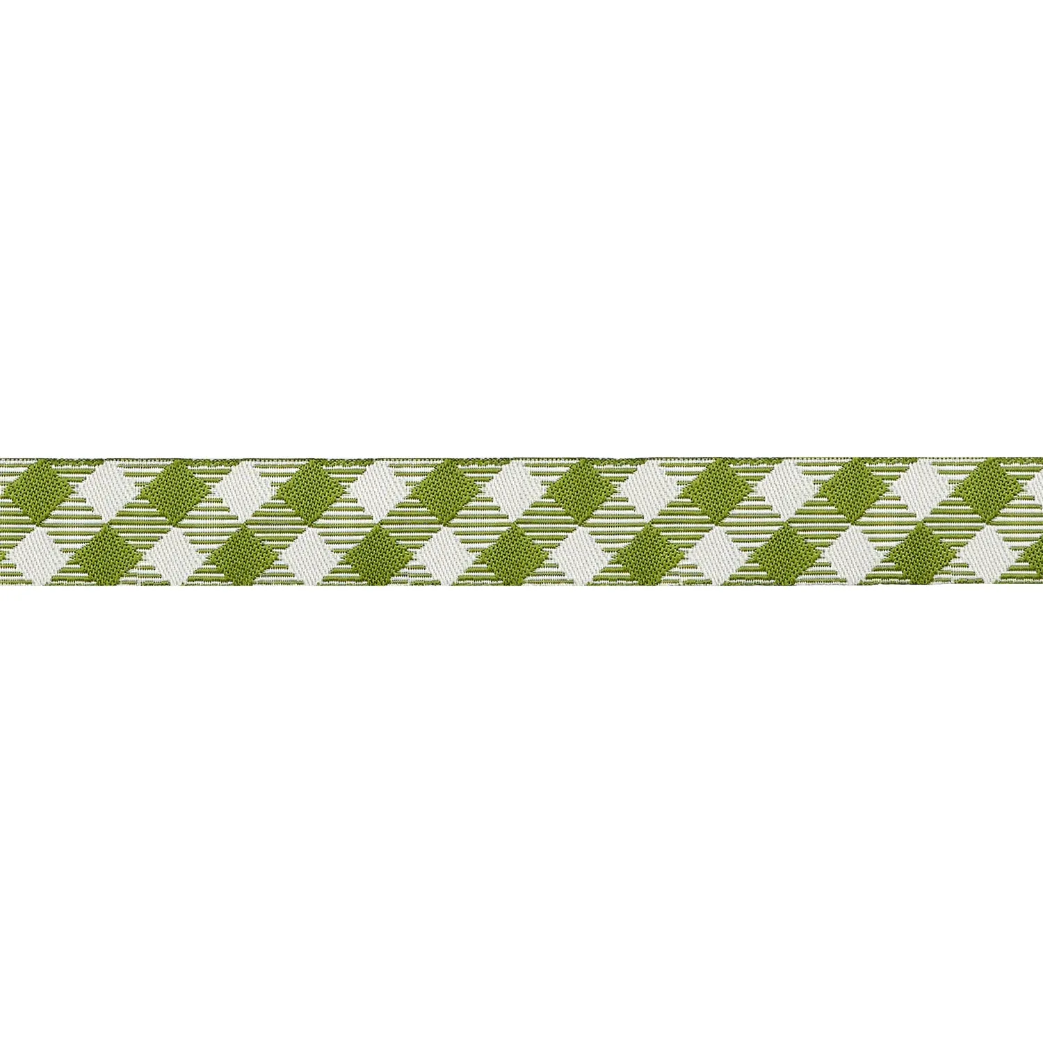 My Secret Garden Garden Gingham Leafy Band 16mm 1m