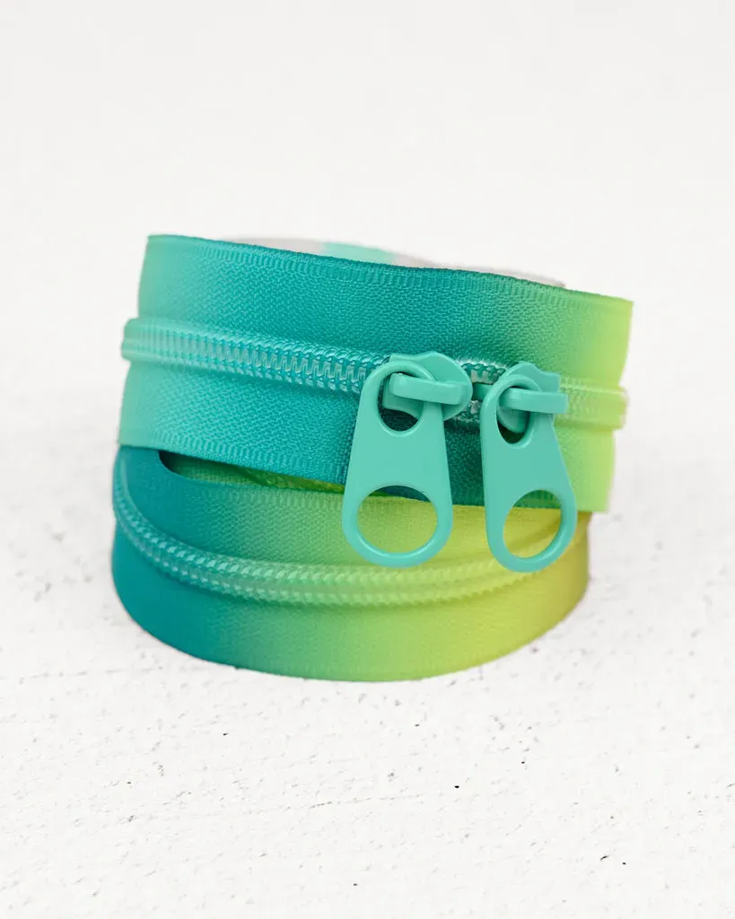 Renaissance Ribbon Coastal Fade Handtaschen-Reißverschluss