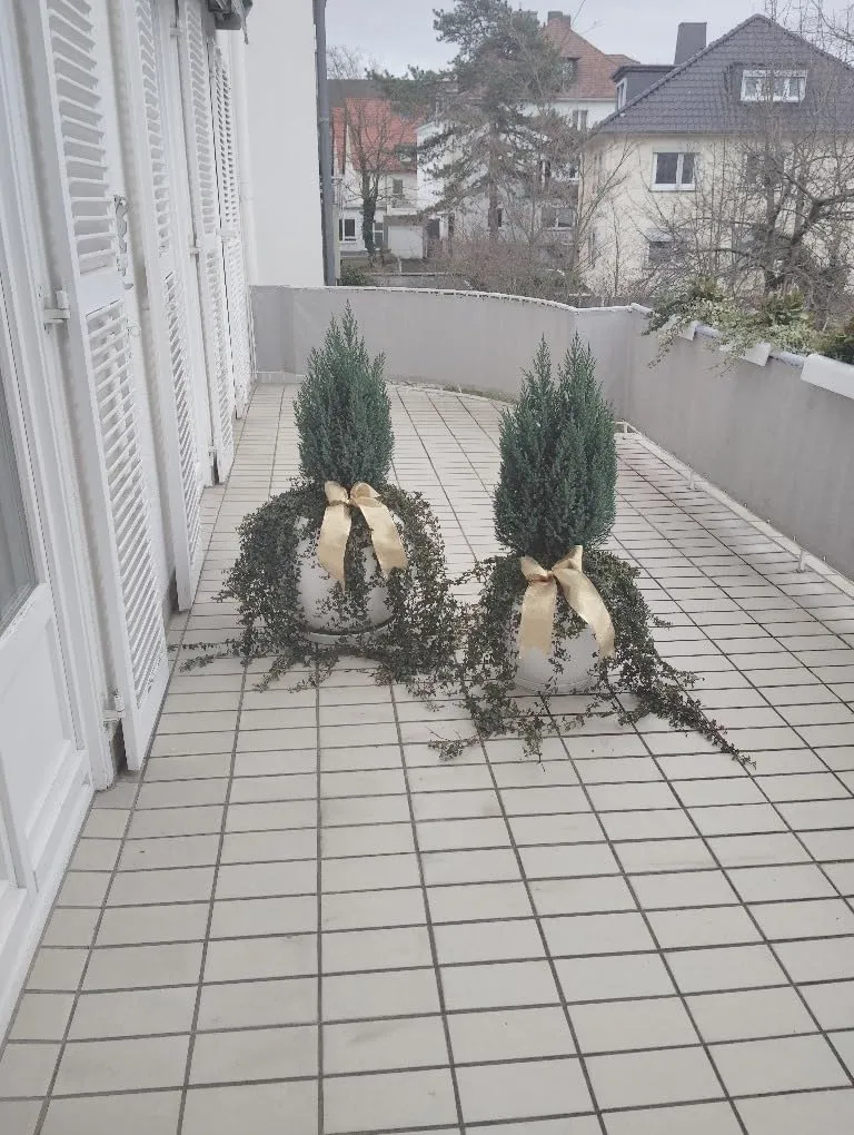 Halbach Seidenbänder Geschenkband mit Drahtkante
