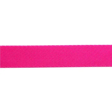 Renaissance Ribbon Tula Pink Cosmic Nylon-Gurtband 1 Zoll 1 Yard