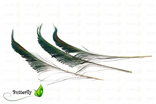 Creativery Pfauenfedern Natur Schwert 25-30cm 10 Stück Deko