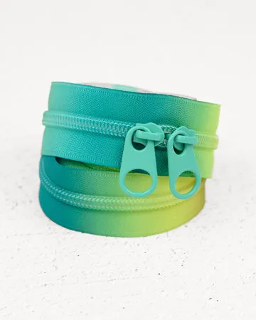 Renaissance Ribbon Coastal Fade Handtaschen-Reißverschluss