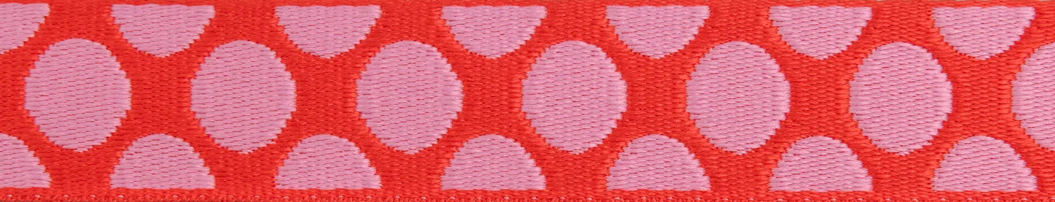 Renaissance Ribbon Down to Earth Dot Webbing Gurtband Tula Pink
