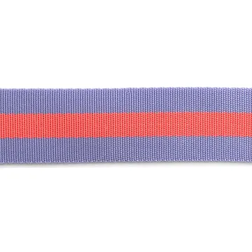 Renaissance Ribbon Tula Pink Gurtband 1 Yard