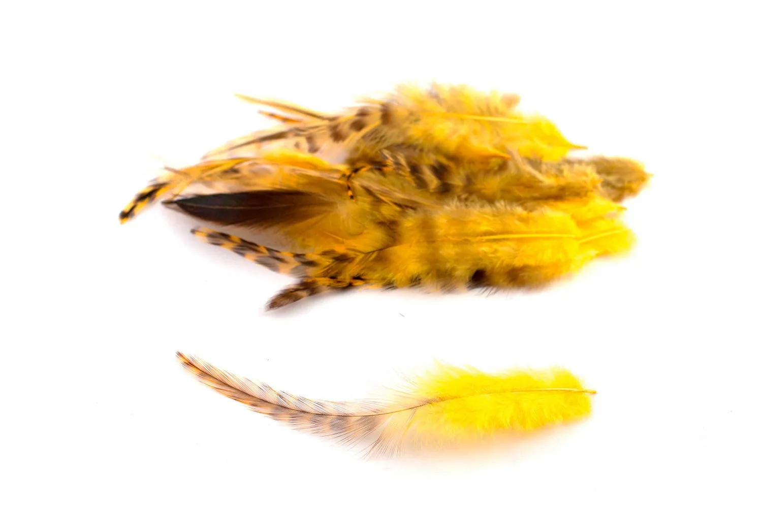 Creativery Hahnenfedern Chinchilla Schmuckfedern