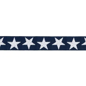 Renaissance Ribbon High Flight Twinkle Webband 1 Yard