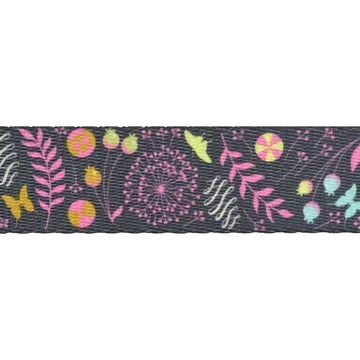 Renaissance Ribbon Prince Charming Dandelion Gurtband Tula Pink