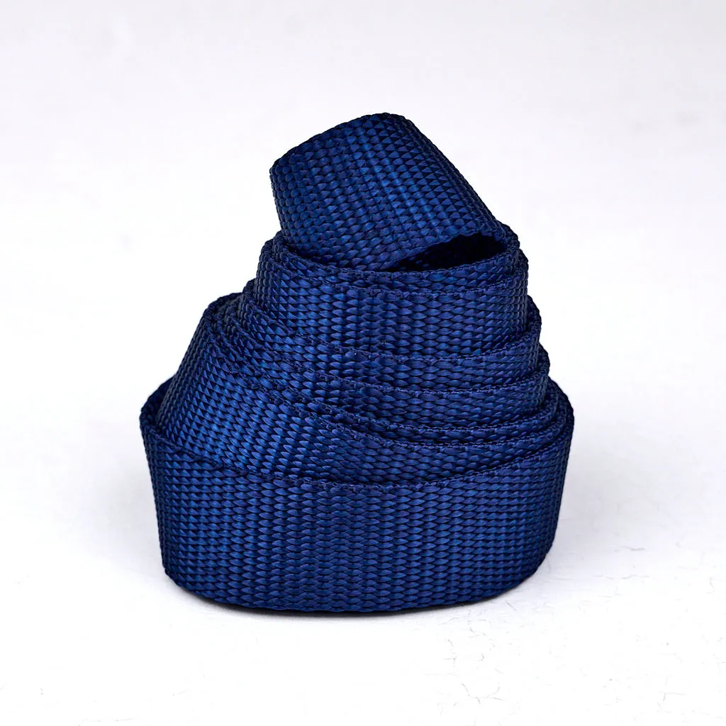 Renaissance Ribbon Heavyweight Webbing Gurtband 2,5cm 1 Yard reissfest