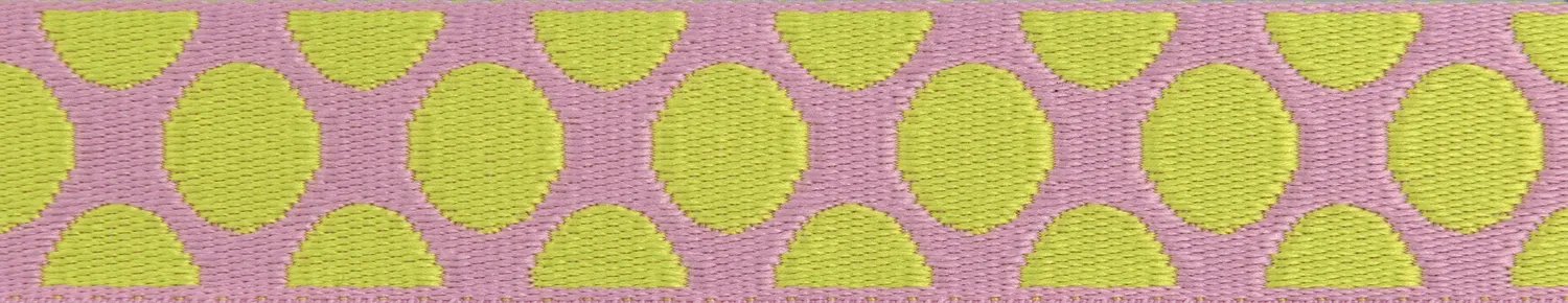 Renaissance Ribbon Down to Earth Dot Webbing Gurtband Tula Pink