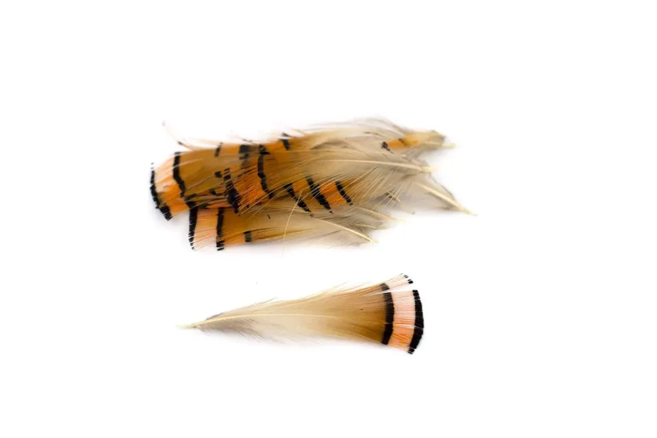 Creativery Goldfasan Federn 4-8cm orange Bastelfedern 20 Stück