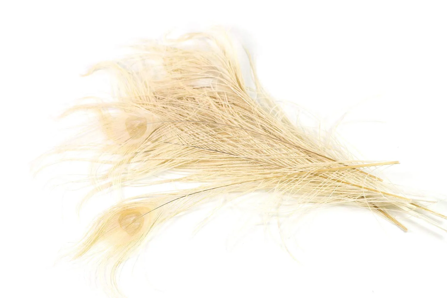 Creativery Pfauenfedern 25–30 cm 10 Stück