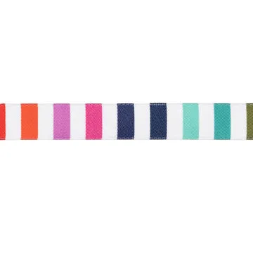 Renaissance Ribbon Tabby Road Rainbow Stripe Webband 16mm 1 Yard