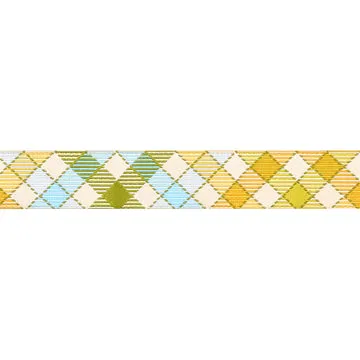 Renaissance Ribbon Animal Park Fun Multi Gingham Schrägband 7/8 Zoll 1 Yard