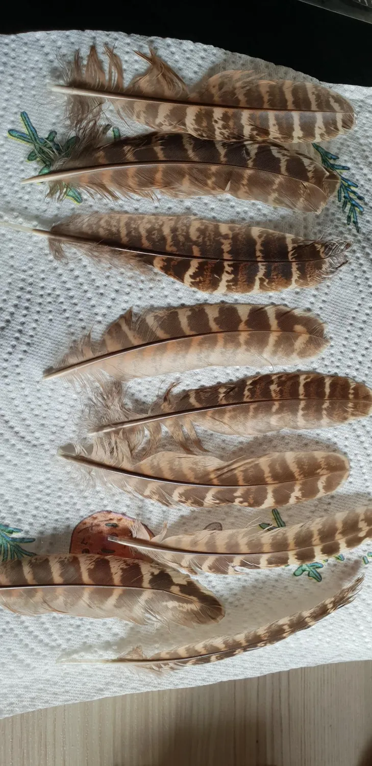 Creativery Eulenfedern 12 cm Bastelfedern natur braun 10 Stück
