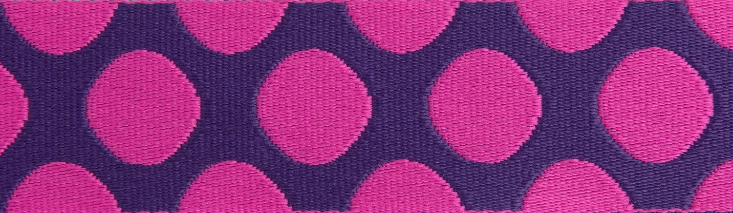 Renaissance Ribbon Down to Earth Dot Webbing Gurtband Tula Pink