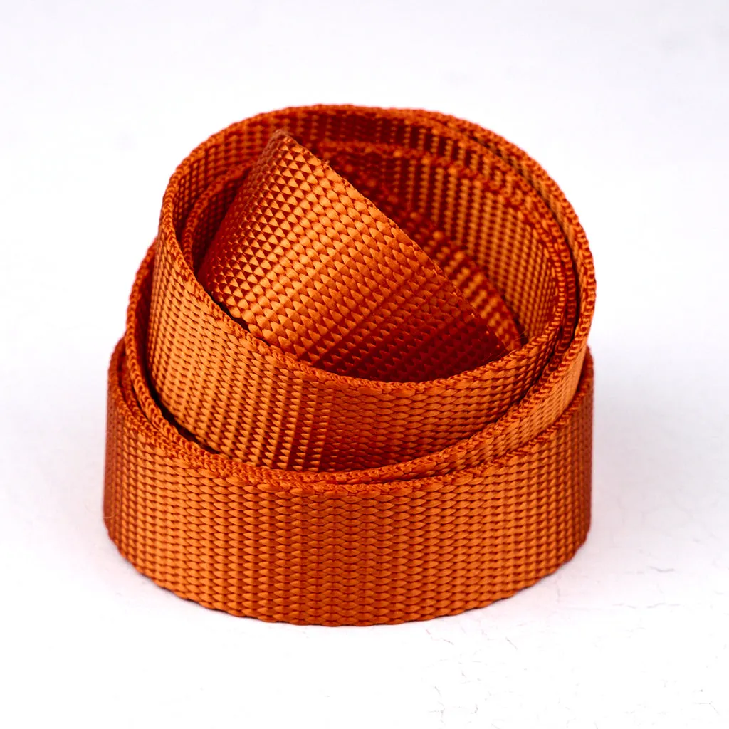 Renaissance Ribbon Heavyweight Webbing Gurtband 2,5cm 1 Yard reissfest