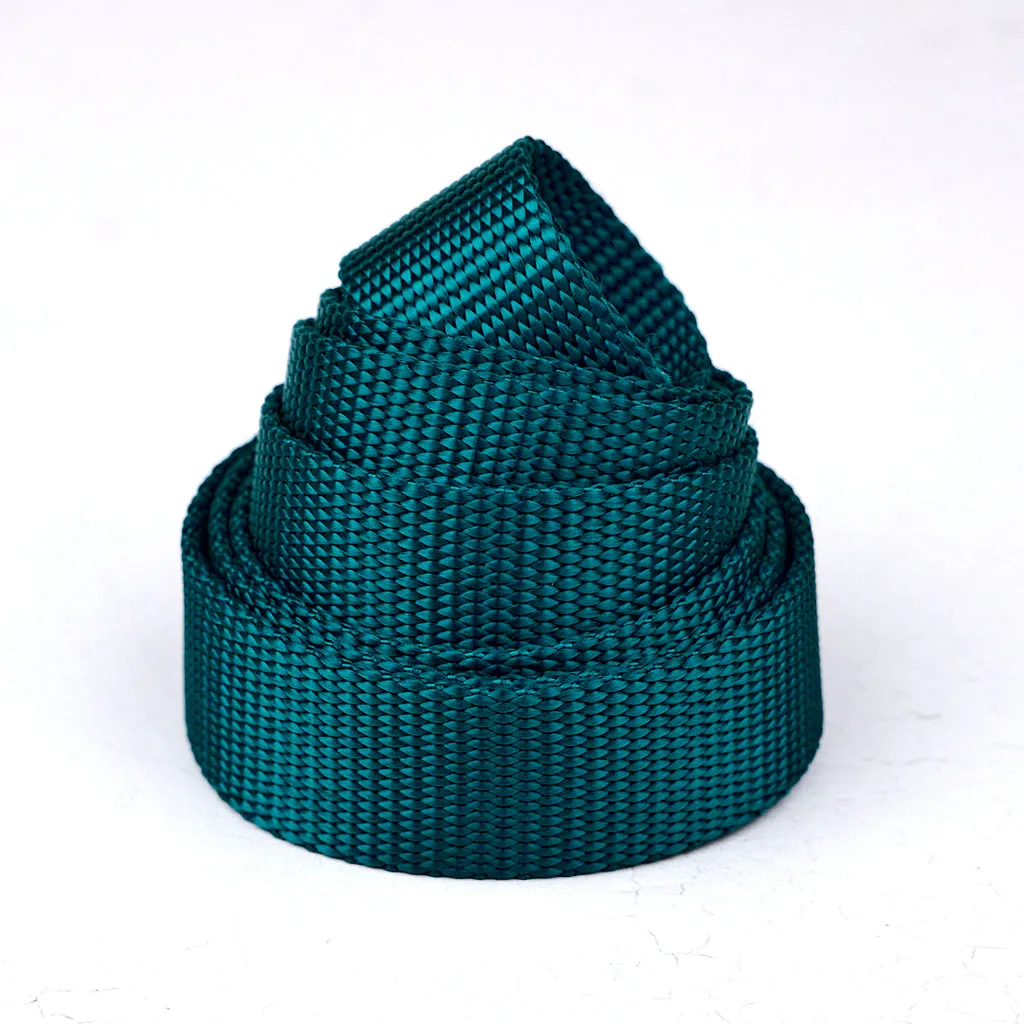Renaissance Ribbon Heavyweight Webbing Gurtband 2,5cm 1 Yard reissfest