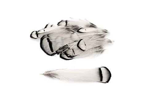 Creativery Fasanenfedern Lady Amherst 20 Stück 4–8 cm natur
