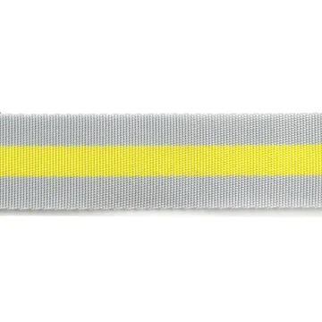 Renaissance Ribbon Nylon-Gurtband von Tula Pink