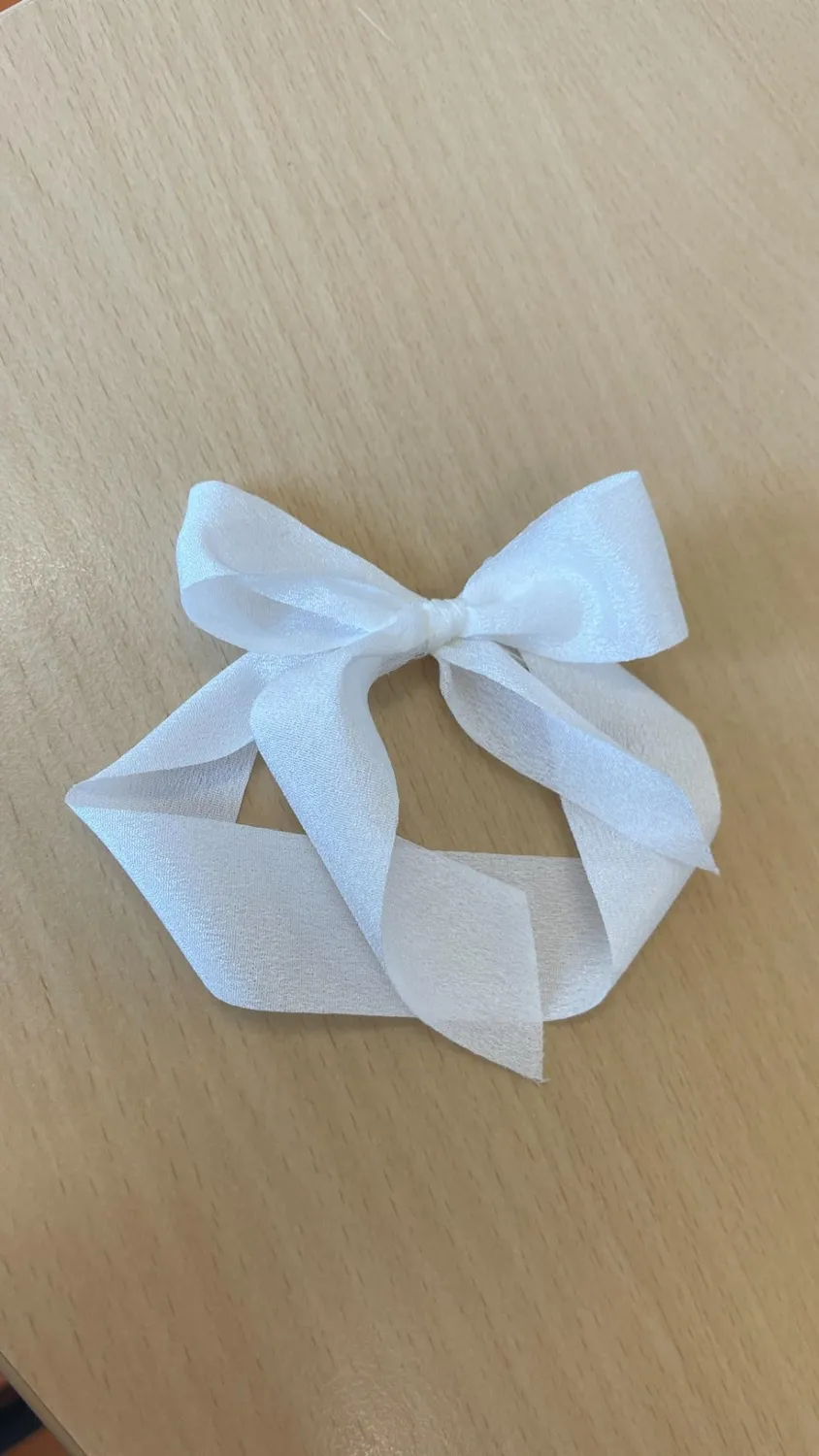 MORSUNBELA Chiffonband Geschenkband Rolle