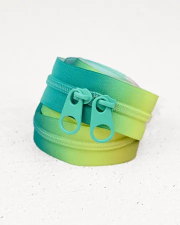 Renaissance Ribbon Coastal Fade Handtaschen-Reißverschluss