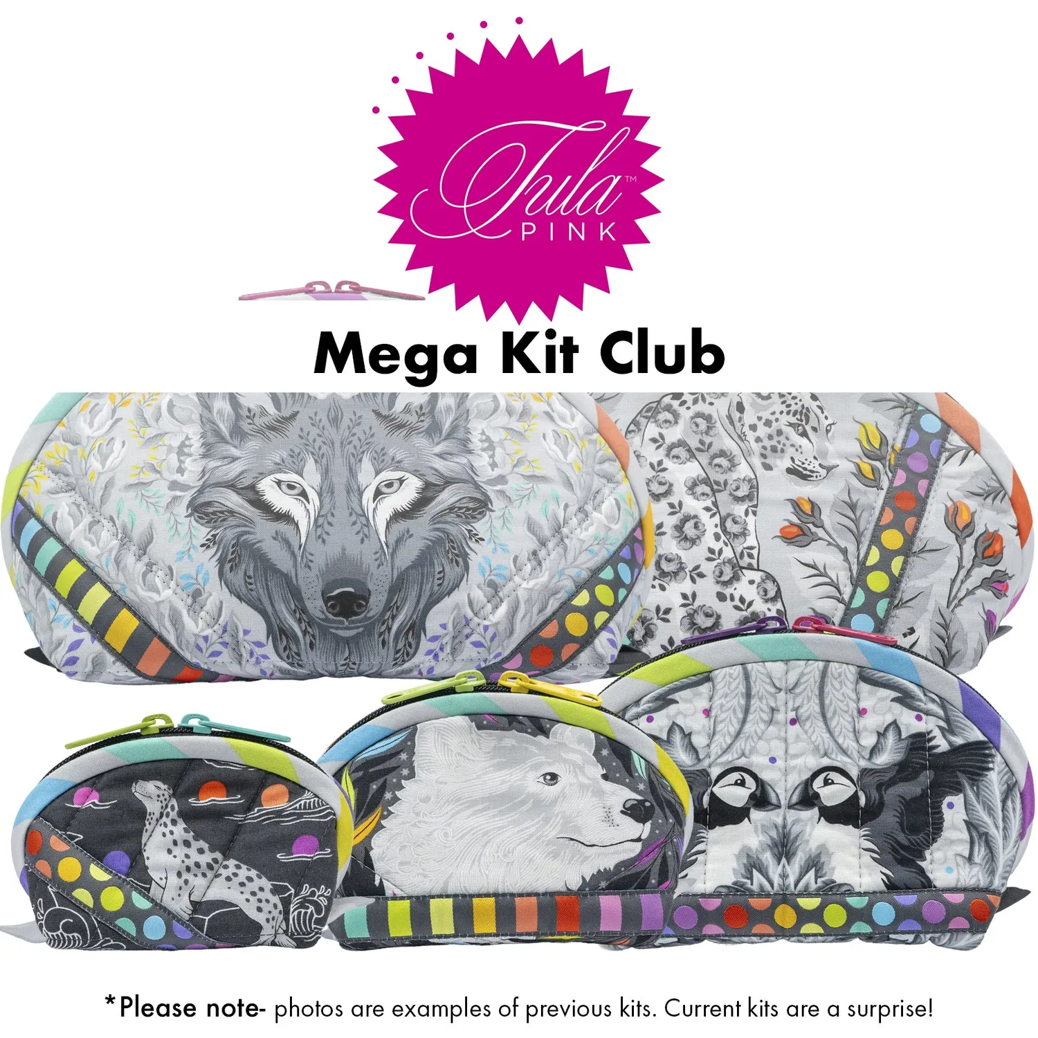Renaissance Ribbon Tula Pink Kit Club Nähset