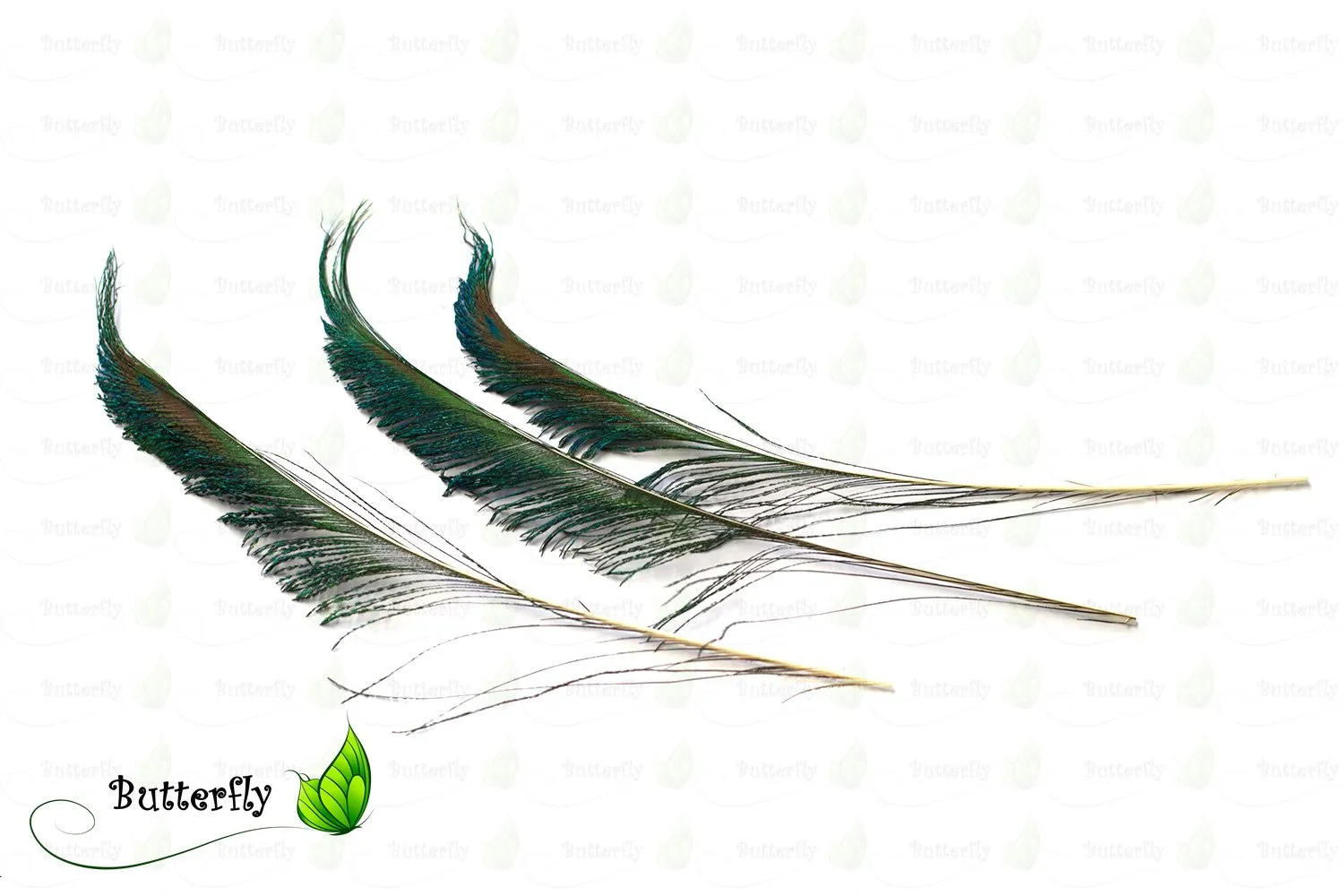 Creativery Pfauenfedern Natur Schwert 25-30cm 10 Stück Deko